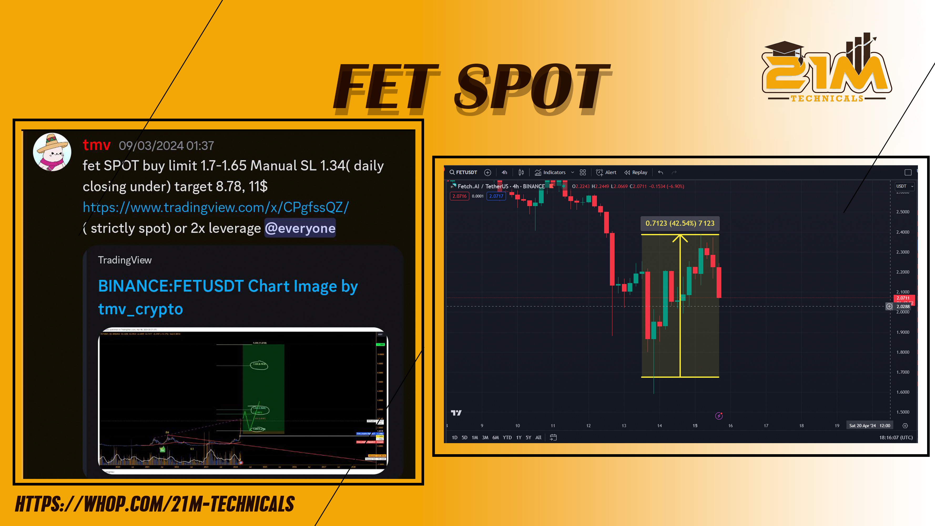 FET SPOT BY TMV FOR 42%