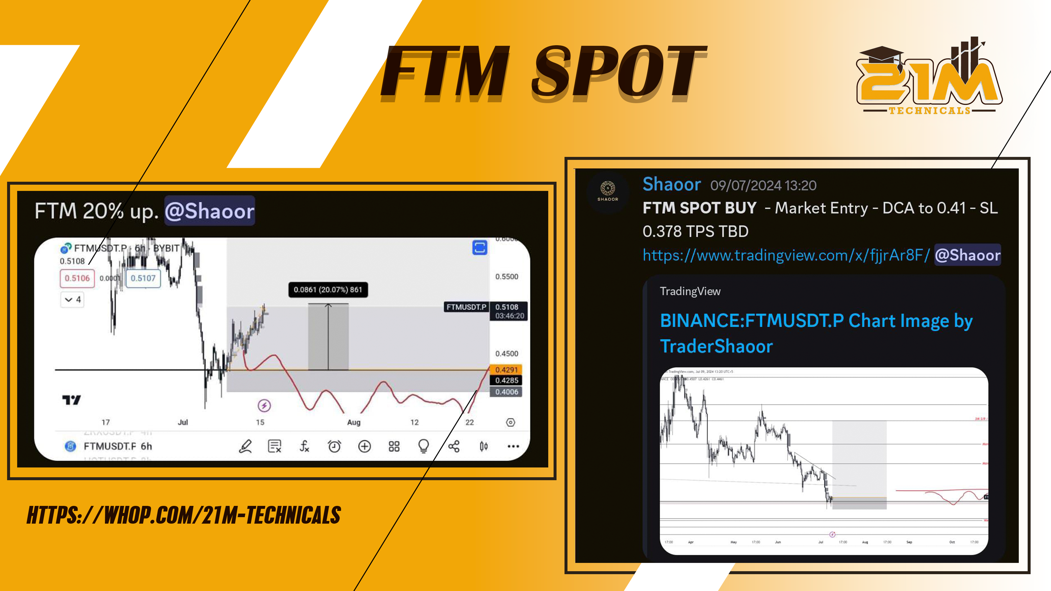 FTM SPOT BY SHAOOR FOR 20%