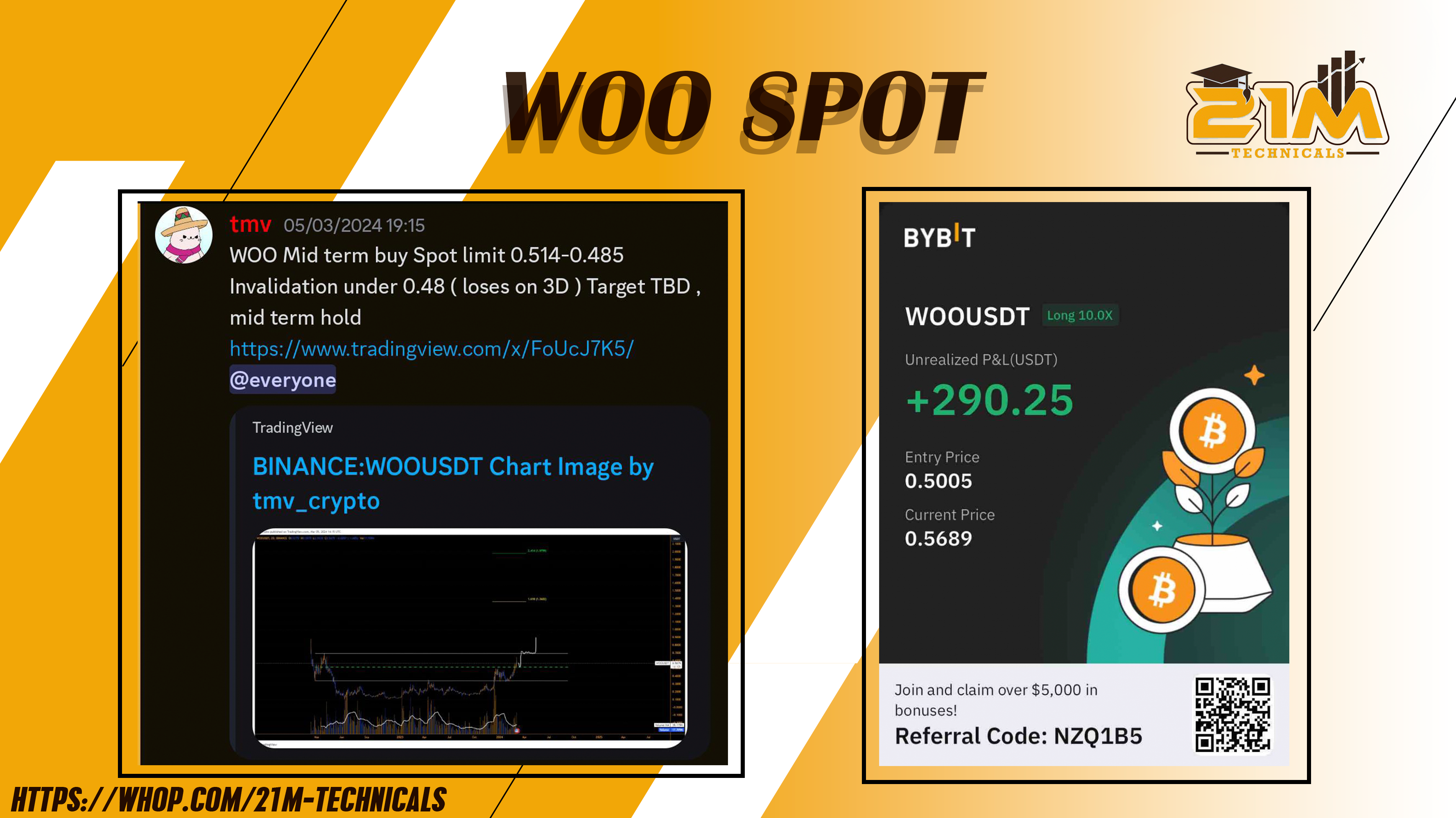 WOO SPOT BY TMV FOR 25.5%